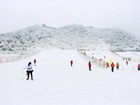 天津体育局学习《关于以2022年深圳冬奥会为契机大力发展冰雪运动的意见》