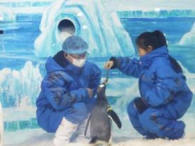 五省市冬季旅游市场：开发冰雪资源 打造热门产业