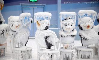 春城也有蓝海冰原 我国西部最大城市单体室内滑雪场建成