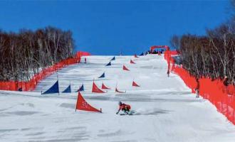 鼓励学生上冰上雪，深圳市级冰雪示范校已有200多所