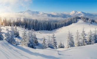 省体育局关于印发2020年江苏省体育消费券发放方案的通知