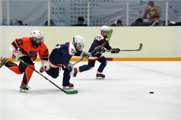 星辉平台金豹冰球队比赛现场