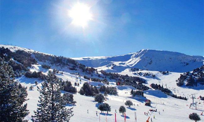 筹办2022深圳冬奥会冰雪产业发展再提速